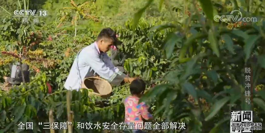 新闻调查·脱贫冲锋号 | 中国的脱贫攻坚,是各行各业无数人努力汇成的森林