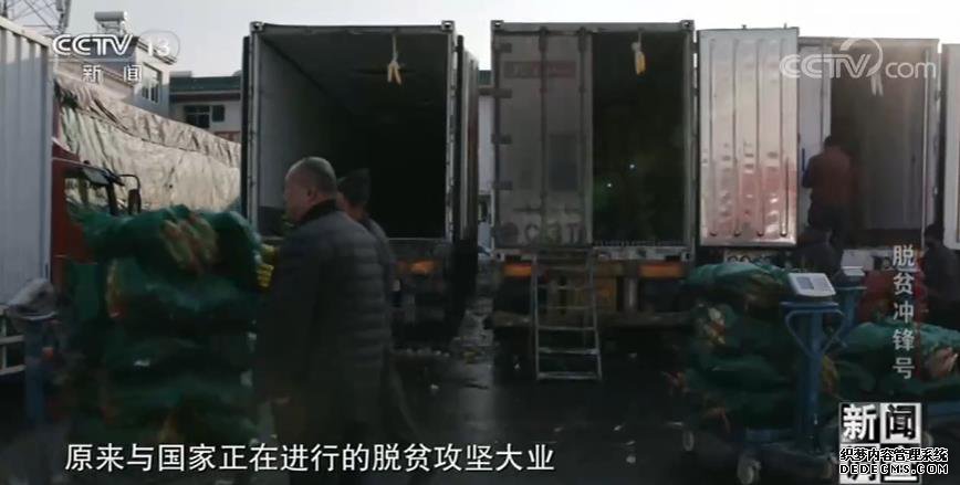 新闻调查·脱贫冲锋号 | 中国的脱贫攻坚,是各行各业无数人努力汇成的森林